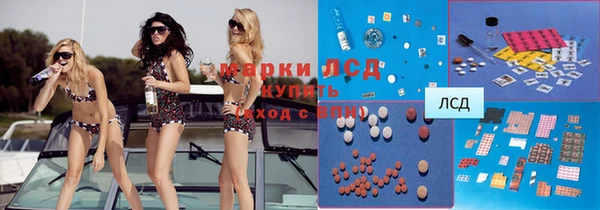 ПСИЛОЦИБИНОВЫЕ ГРИБЫ Аркадак
