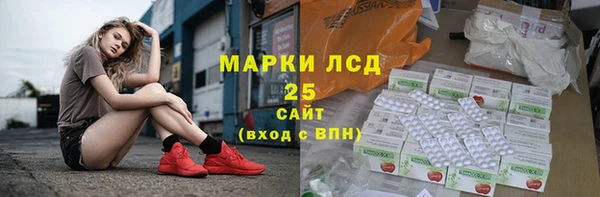 ПСИЛОЦИБИНОВЫЕ ГРИБЫ Аркадак