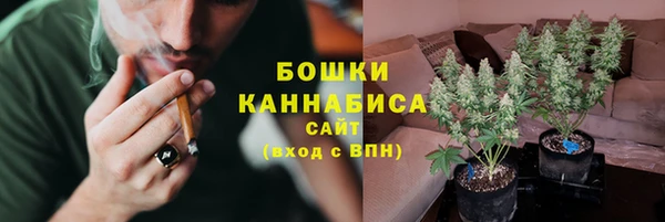 дурь Сатка