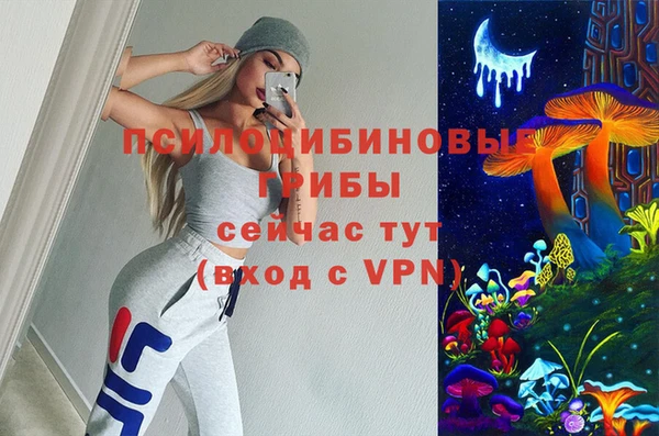 ПСИЛОЦИБИНОВЫЕ ГРИБЫ Аркадак