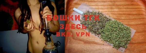 ПСИЛОЦИБИНОВЫЕ ГРИБЫ Аркадак