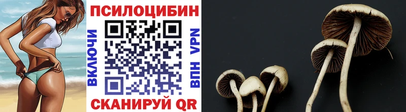 Псилоцибиновые грибы мухоморы  купить закладку  Валуйки 